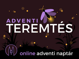 online adventi naptár